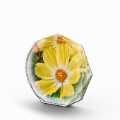 Cosmos フォトブロック fotoblokken (Rechts)