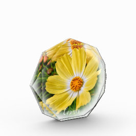 Cosmos フォトブロック fotoblokken