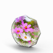 Cosmos フォトブロック fotoblokken (Rechts)