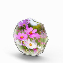 Cosmos フォトブロック fotoblokken