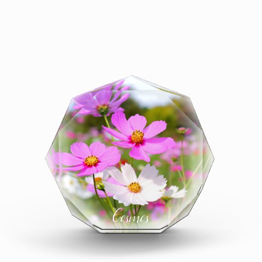 Cosmos フォトブロック fotoblokken (Voorkant)