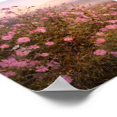 Cosmos at Quiet Dawn – Soft Morning Meadow  Poster (Hoek)