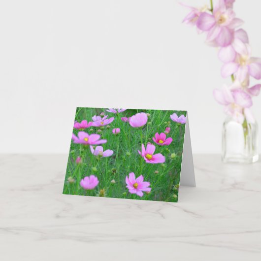 Cosmos bipinnatus Bloemen Kaart (Orchidee)