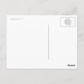 Cosmos bipinnatus briefkaart (Achterkant)