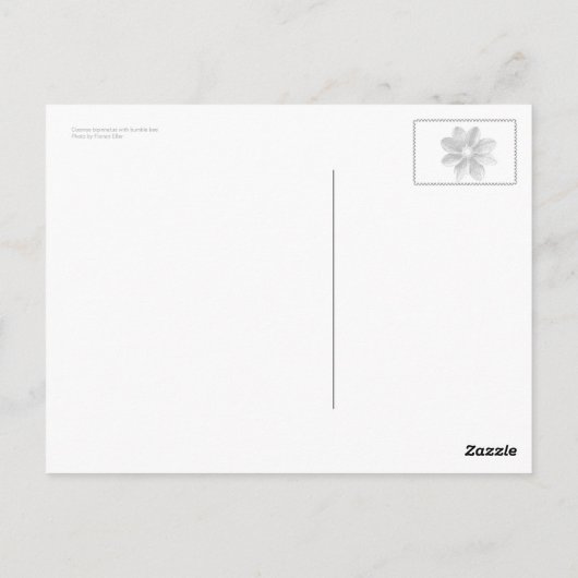 Cosmos bipinnatus briefkaart (Achterkant)