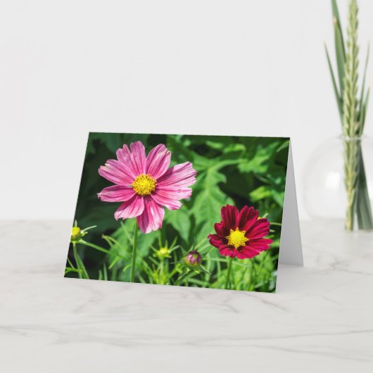 Cosmos Blank Note Card Kaart (Voorkant)