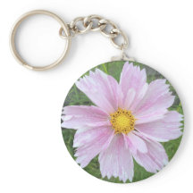 Cosmos - Bleek van Pinks —