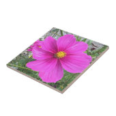 Cosmos bloemen in bloei tegeltje (Zijkant)