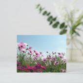 Cosmos Bloemen: Japan Briefkaart (Staand voorkant)