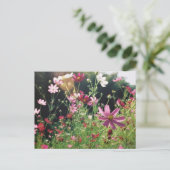 Cosmos Bloemen: Japan Briefkaart (Staand voorkant)