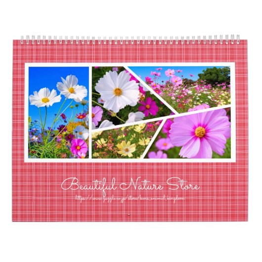 Cosmos Calendar Kalender (Achterkant)