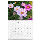 Cosmos Calendar Kalender (Feb 2026)
