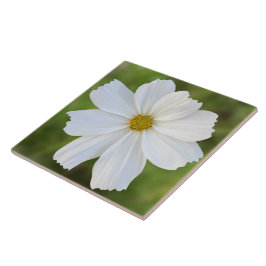 Cosmos Ceramic Tile Tegeltje