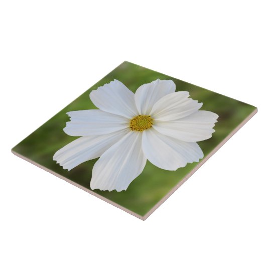 Cosmos Ceramic Tile Tegeltje (Zijkant)