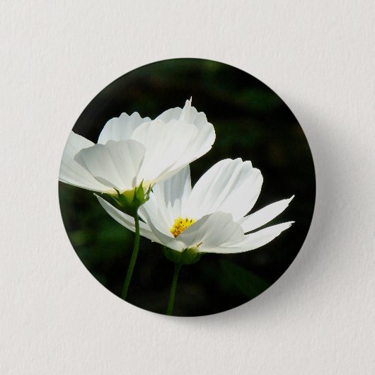 Cosmos Daisy Flowers Ronde Button 5,7 Cm (Voorkant)
