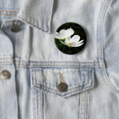 Cosmos Daisy Flowers Ronde Button 5,7 Cm (In situ)
