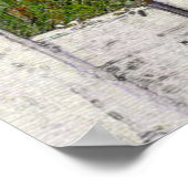 Cosmos en Picket Fence Poster (Hoek)