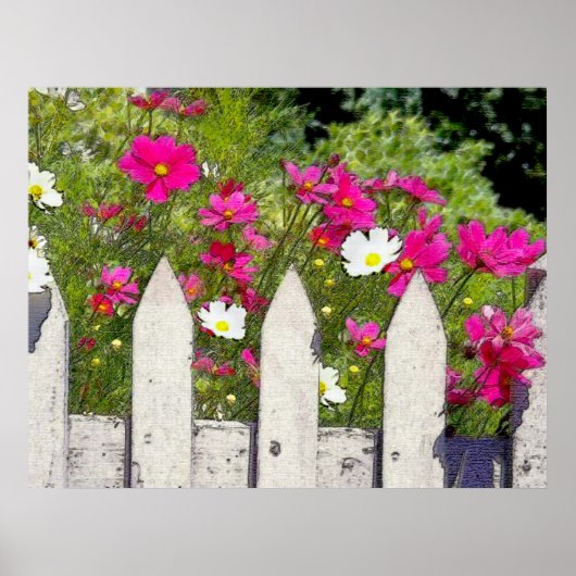 Cosmos en Picket Fence Poster (Voorkant)