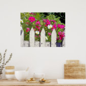 Cosmos en Picket Fence Poster (Keuken)