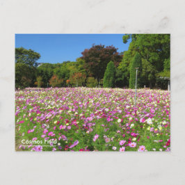Cosmos Field:Briefkaart Briefkaart