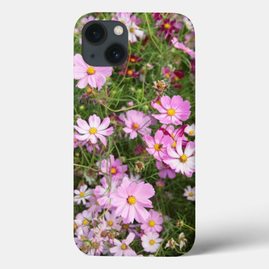 Cosmos Flower (Bidens Formosa). Kirkwood Case-Mate iPhone Case (Achterkant)