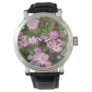 Cosmos Flower (Bidens Formosa). Kirkwood Horloge