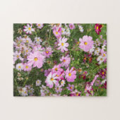 Cosmos Flower (Bidens Formosa). Kirkwood Legpuzzel (Horizontaal)