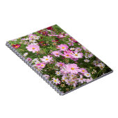 Cosmos Flower (Bidens Formosa). Kirkwood Notitieboek (Rechterzijde)