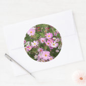 Cosmos Flower (Bidens Formosa). Kirkwood Ronde Sticker (Envelop)