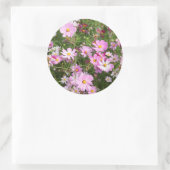 Cosmos Flower (Bidens Formosa). Kirkwood Ronde Sticker (Tas)