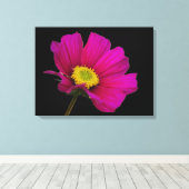 Cosmos Flower Canvas Print (Insitu (Houten vloer))