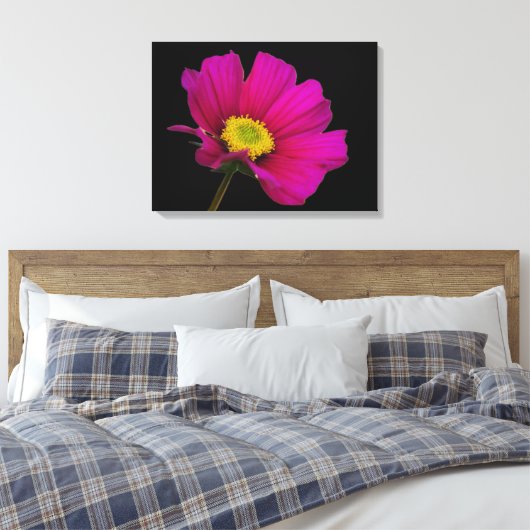 Cosmos Flower Canvas Print (Insitu (Slaapkamer))