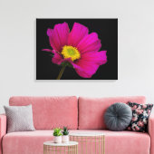 Cosmos Flower Canvas Print (Insitu (Woonkamer))