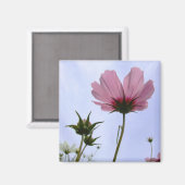 Cosmos Flower Magnet (Voorkant / Achterkant)