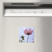 Cosmos Flower Magnet (Insitu (Vaatwasser))