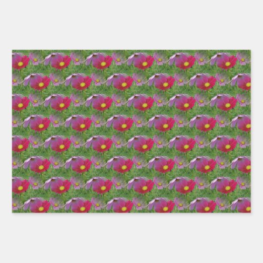 Cosmos Flower Natuur Pattern Inpakpapier Vel (Voorkant 2)