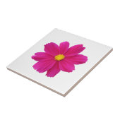 Cosmos Flower Tegel Tegeltje (Zijkant)
