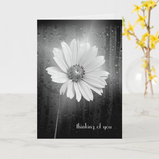 Cosmos Flower Thinking of you Kaart (Gele Bloem)