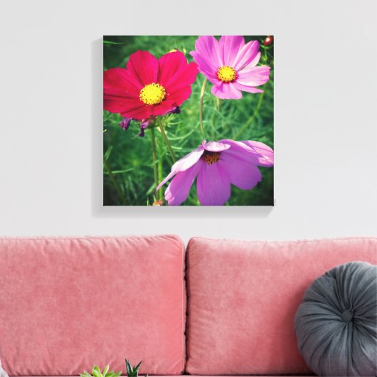 Cosmos Flower Trio Canvas Afdruk (Insitu (Woonkamer))