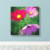 Cosmos Flower Trio Canvas Afdruk (Insitu (Houten vloer))