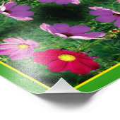 Cosmos Flower Trio Mirror Abstract 8x8 Foto Afdruk (Hoek)