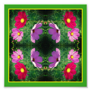 Cosmos Flower Trio Mirror Abstract 8x8 Foto Afdruk
