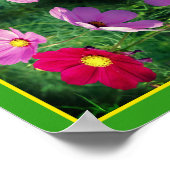 Cosmos Flower Trio Mirror Abstract Poster (Hoek)