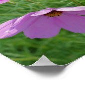 Cosmos Flower Trio Mirror Abstract Poster (Hoek)