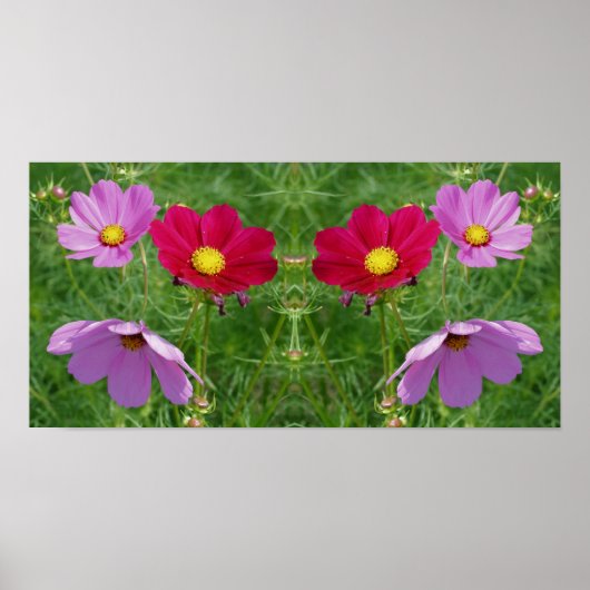 Cosmos Flower Trio Mirror Abstract Poster (Voorkant)