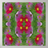 Cosmos Flowers Abstracte Natuur Poster (Voorkant)
