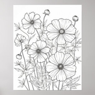 Cosmos Flowers Coloring Poster voor volwassenen