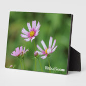 Cosmos Flowers Fotoplaat (Zijkant)