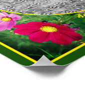 Cosmos Flowers Lijst Creëer Uw eigen foto Poster (Hoek)