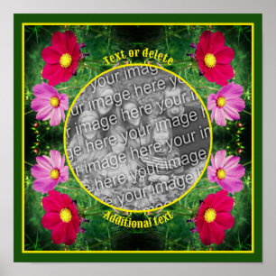 Cosmos Flowers Lijst Creëer Uw eigen foto Poster